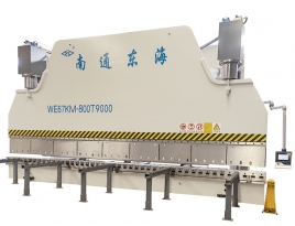 WE67K-800T9000 CNC Press Brake
